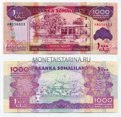 Банкнота 1000 шиллингов 2011 года Сомали