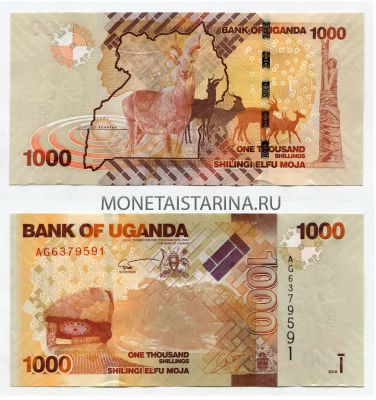 Банкнота 1000 шиллингов 2010 года Уганда