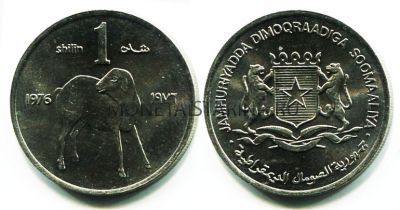 Монета 1 шиллинг 1976 год Сомали