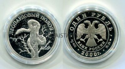 Монета серебряная 1 рубль 2000 года Леопардовый полоз из серии "Красная книга"