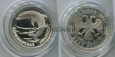 Монета серебряная 1 рубль 1995 года Чёрная афалина из серии "Красная книга"