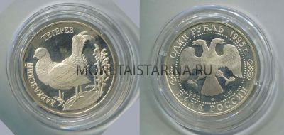 Монета серебряная 1 рубль 1995 года Кавказский тетерев из серии "Красная книга"