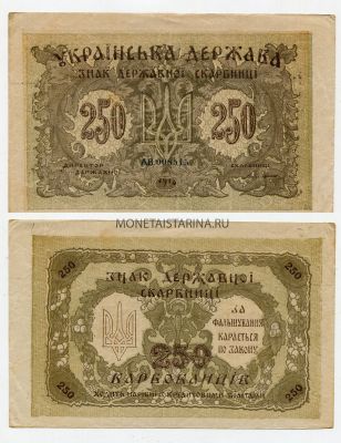 Банкнота (бона) 250 карбованцев 1918 года Украина