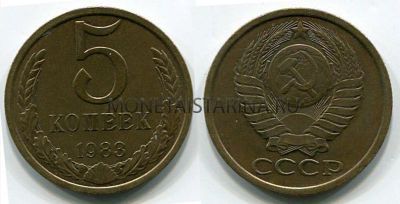 Монета 5 копеек 1983 года СССР