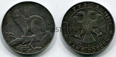 Монета серебряная 3 рубля 1995 года "Соболь" (ЛМД)