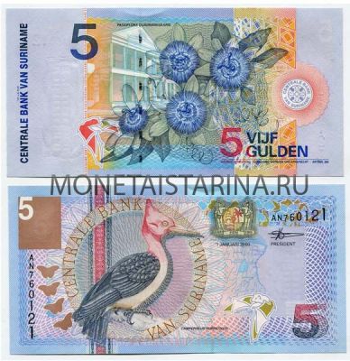 Банкнота 5 гульденов 2000 года Суринам