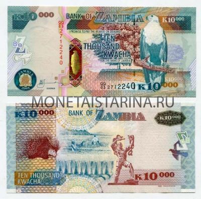 Банкнота 10000 квача 2008 года Замбия
