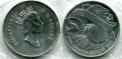 Монета серебряная 1 доллар 1996 года Канада