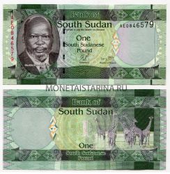 Банкнота 1 фунт 2011 год Судан